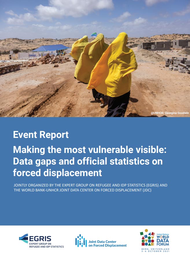 Making the most vulnerable visible: Data gaps and official statistics on forced displacement
