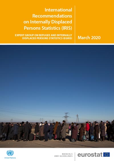 International Recommendations on IDP Statistics (IRIS)