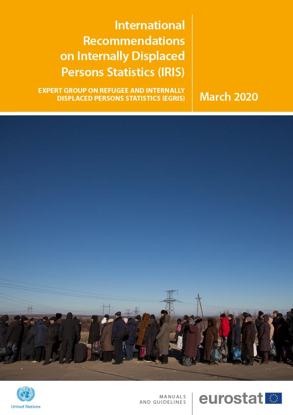 International Recommendations on Internally Displaced Persons Statistics (IRIS)