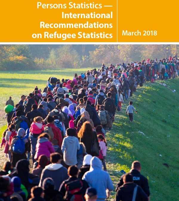 International Recommendations on Refugee Statistics (IRRS)
