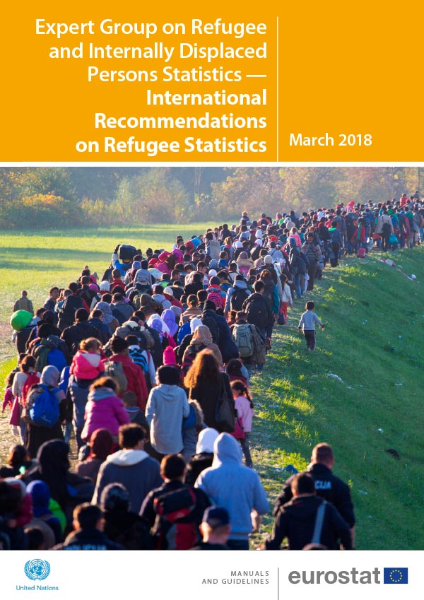 International Recommendations on Refugee Statistics (IRRS)