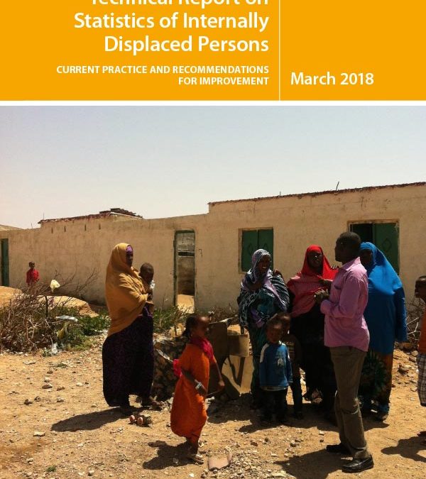 Technical Report on Statistics of Internally Displaced Persons