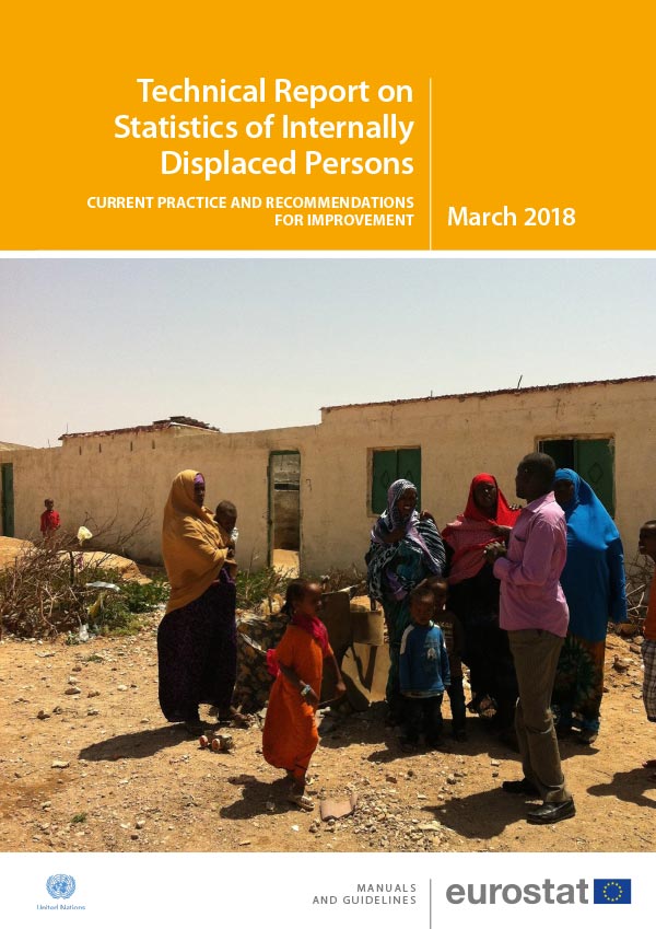 Technical Report on Statistics of Internally Displaced Persons EGRISS