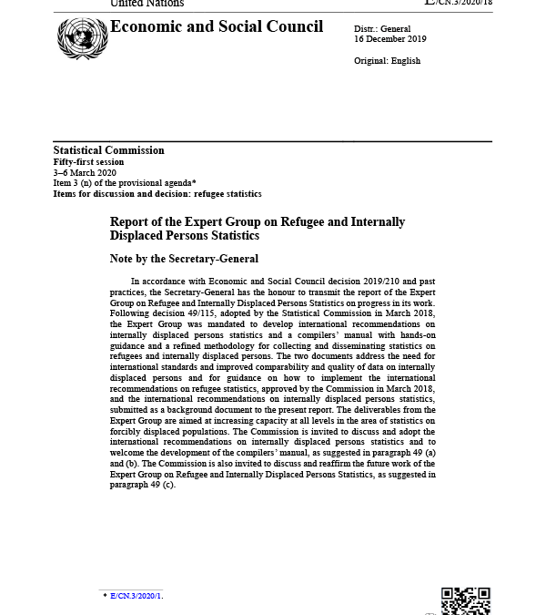 Report of the Expert Group on Refugee and Internally Displaced Persons Statistics (2020)