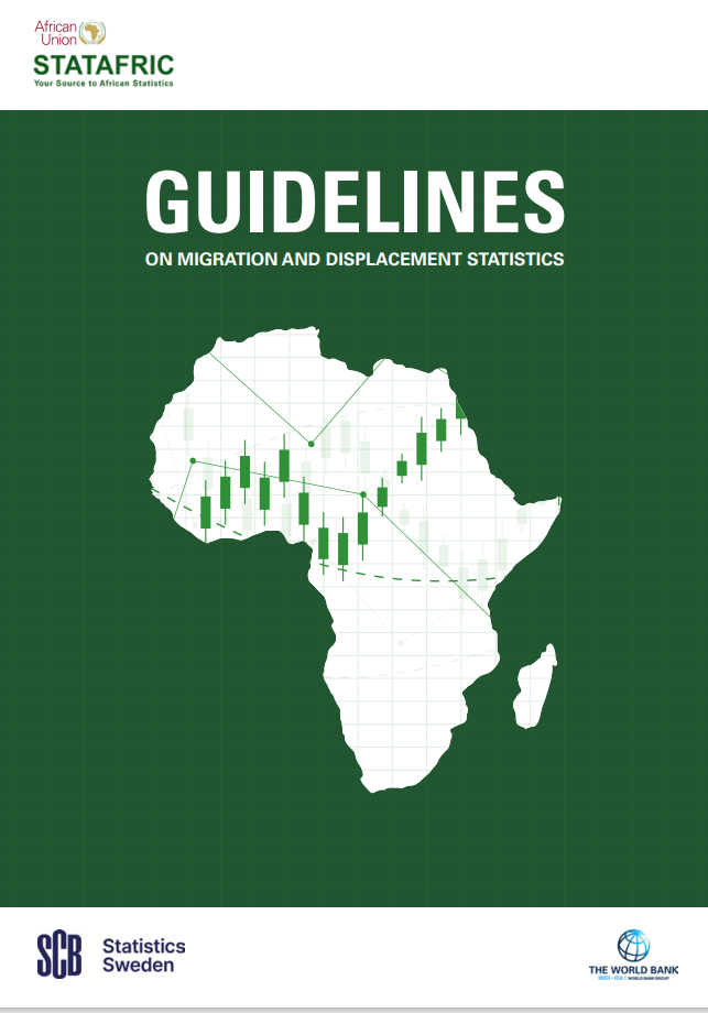 International Recommendations on Refugee Statistics (IRRS) 