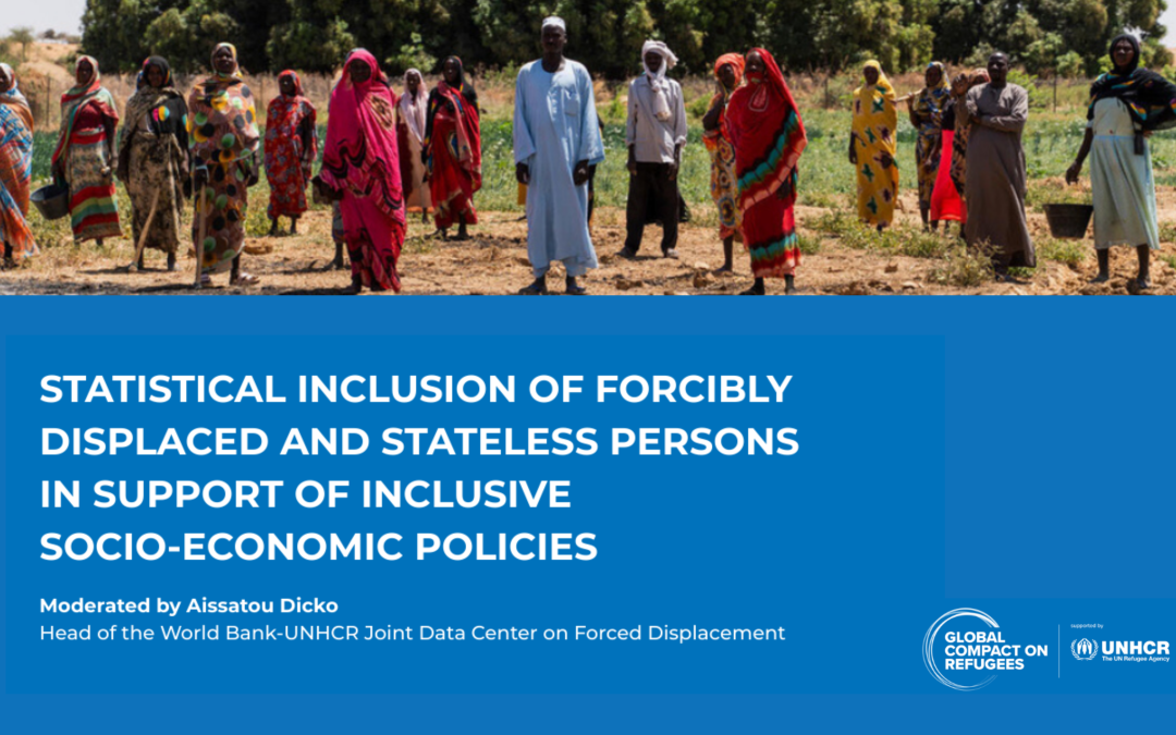 Webinar on GRF pledges to pursue statistical inclusion to underpin inclusive socio-economic policies 