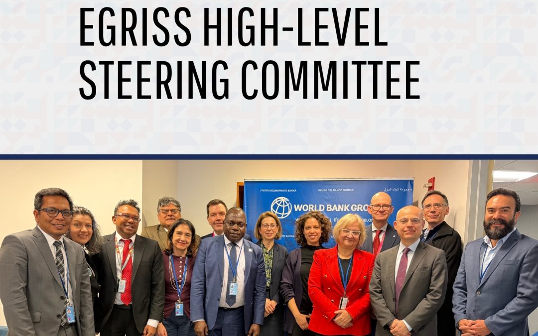 Summary Report: EGRISS 2026 High-Level Steering Committee meeting