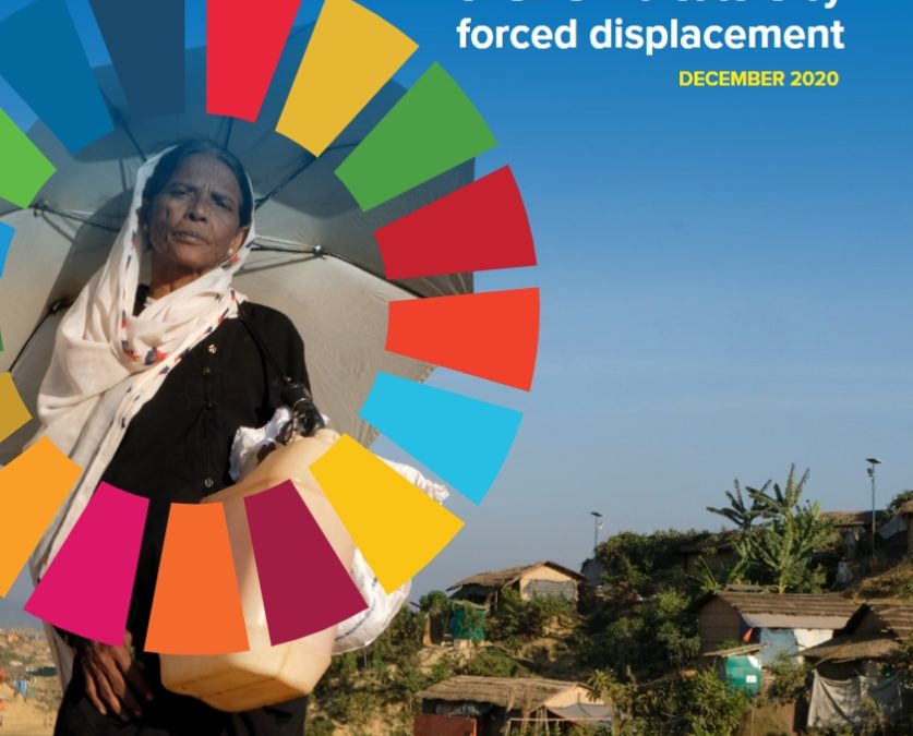Data disaggregation of SDG indicators by forced displacement