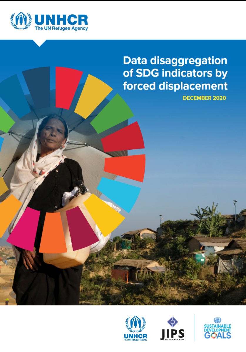 International Recommendations on Refugee Statistics (IRRS) 