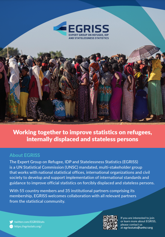 International Recommendations on Refugee Statistics (IRRS) 