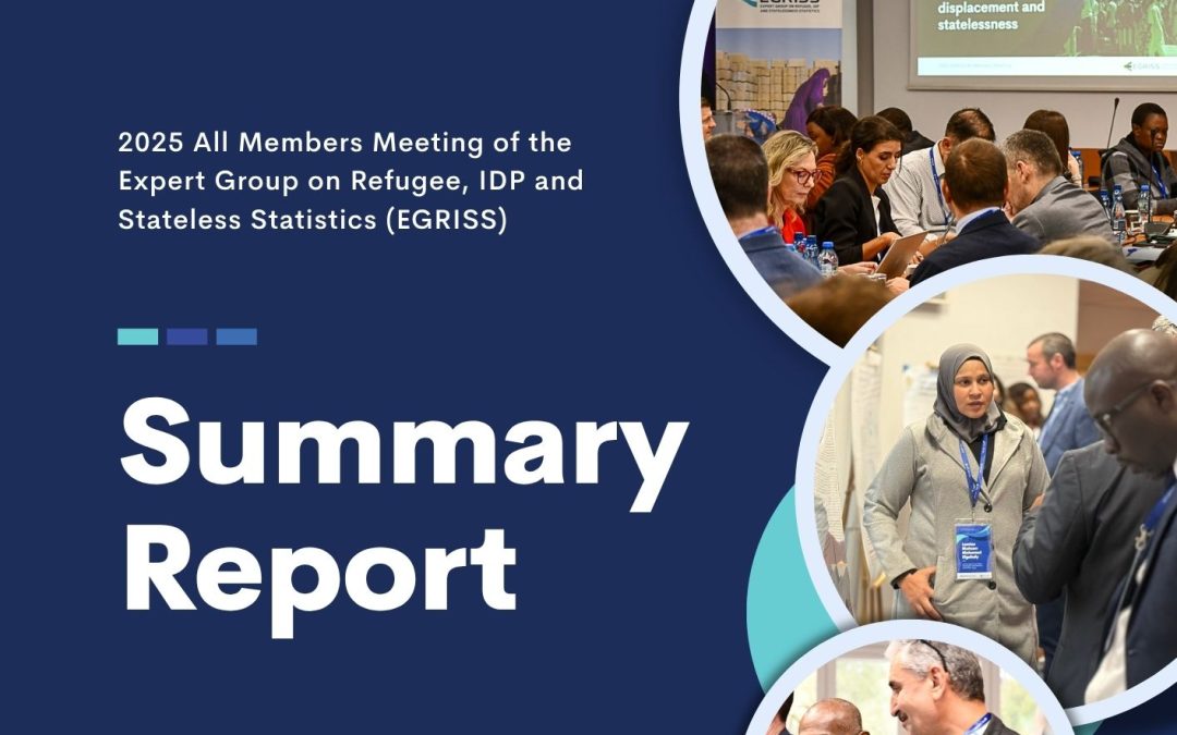 Summary Report: EGRISS 2025 All Members Meeting