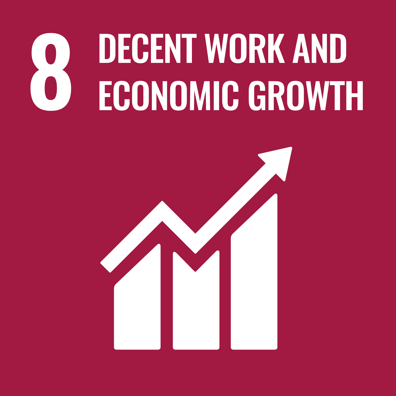 SDG 8 Decent Work