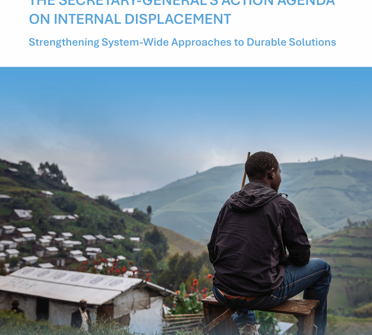 UNSGD – Global Stock-Take on Implementation of the Secretary-General’s Action Agenda on Internal Displacement: Strengthening System-Wide Approaches to Durable Solutions