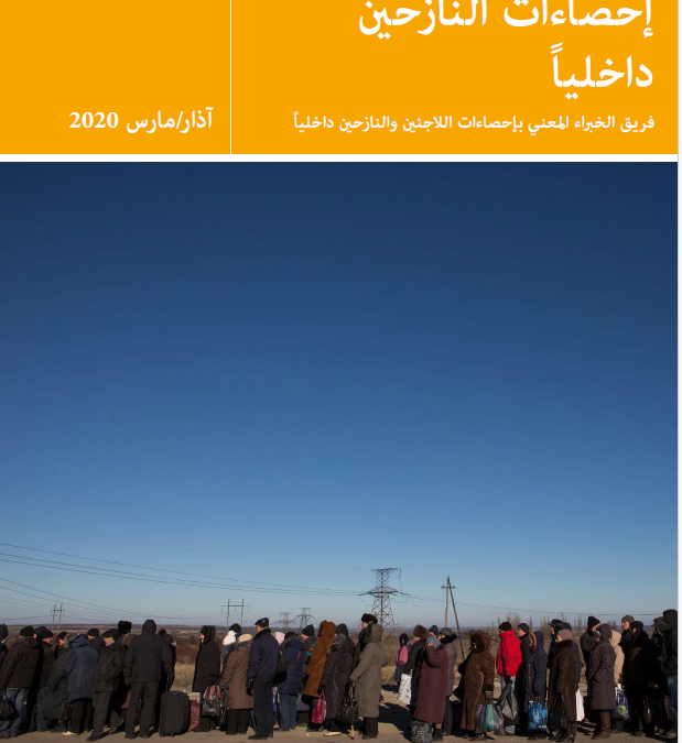 International Recommendations on IDP Statistics (IRIS) – Arabic