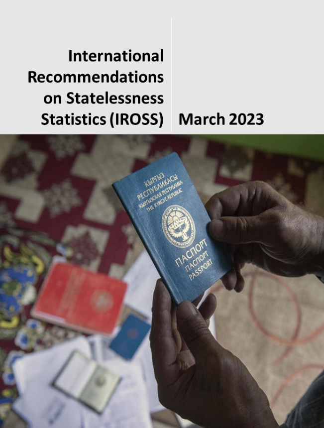 International Recommendations on Statelessness Statistics (IROSS)