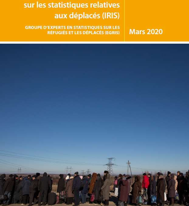 International Recommendations on IDP Statistics (IRIS) – French