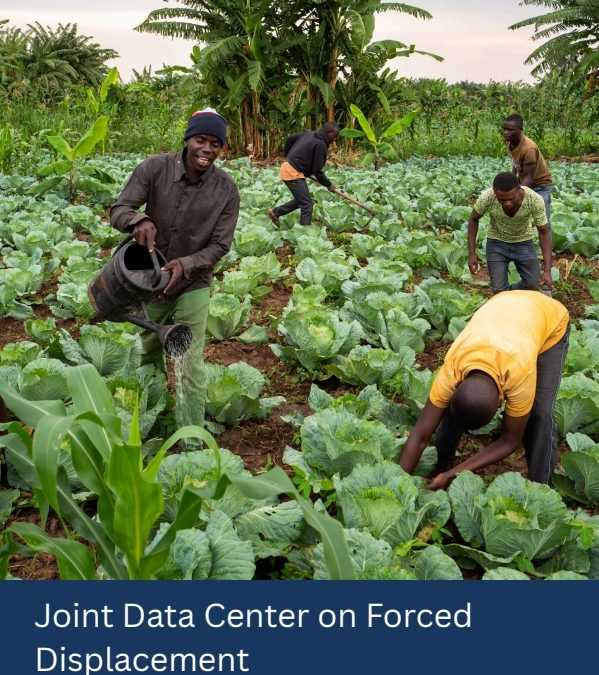 JDC – 2025 Annual Report