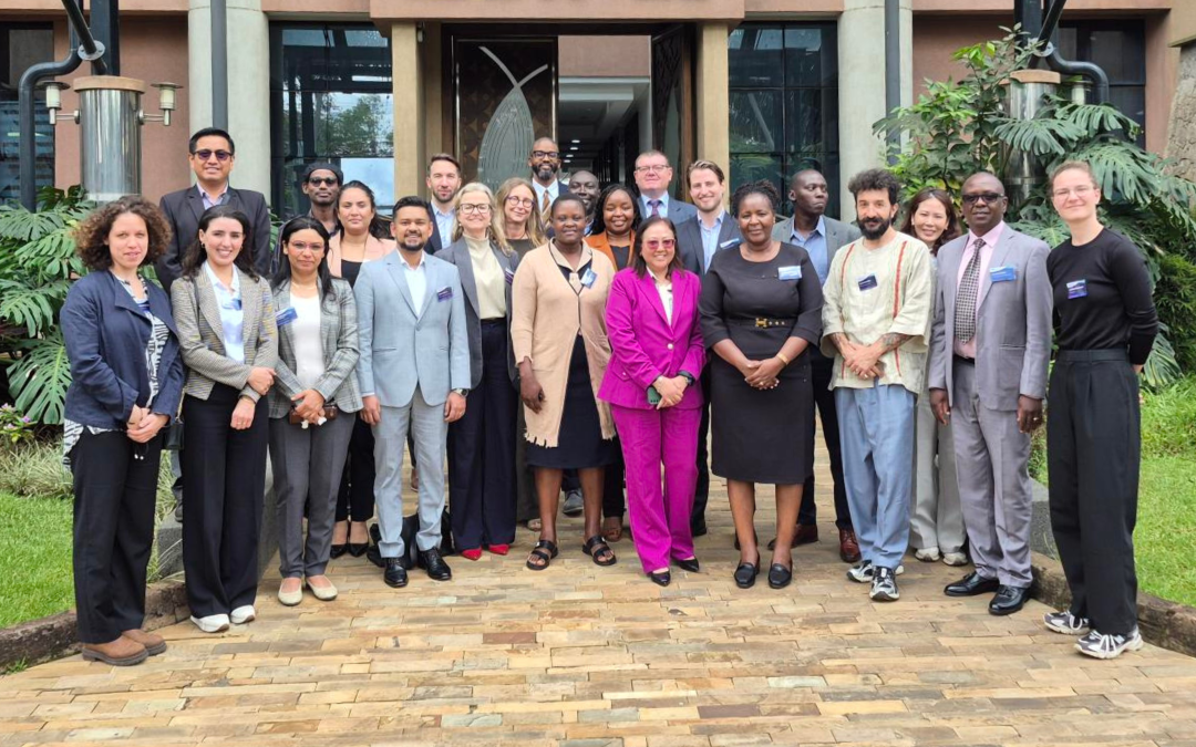 Co-developing an open-source training package to strengthen national statistics on displacement and statelessness