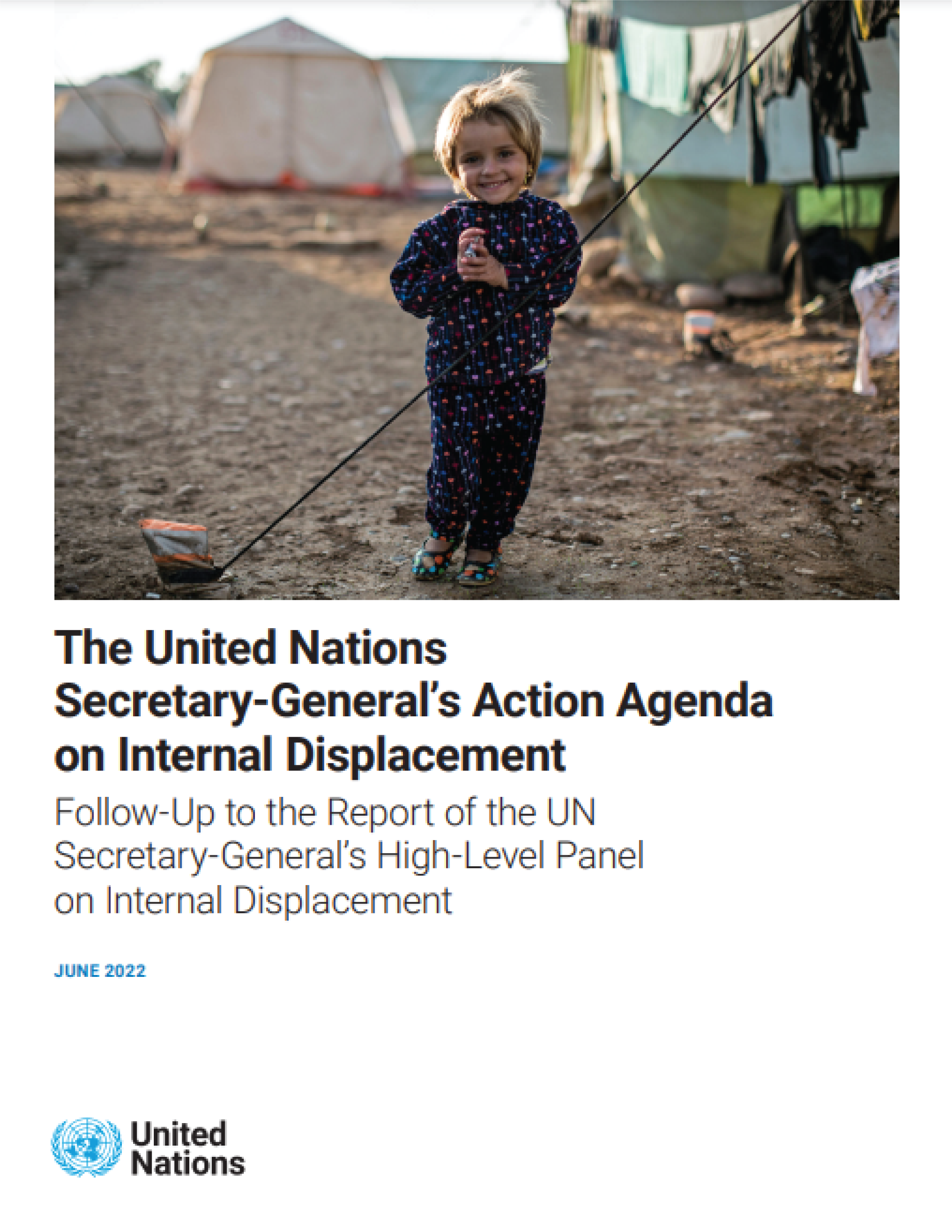 Secretary-General’s Action Agenda on Internal Displacement
