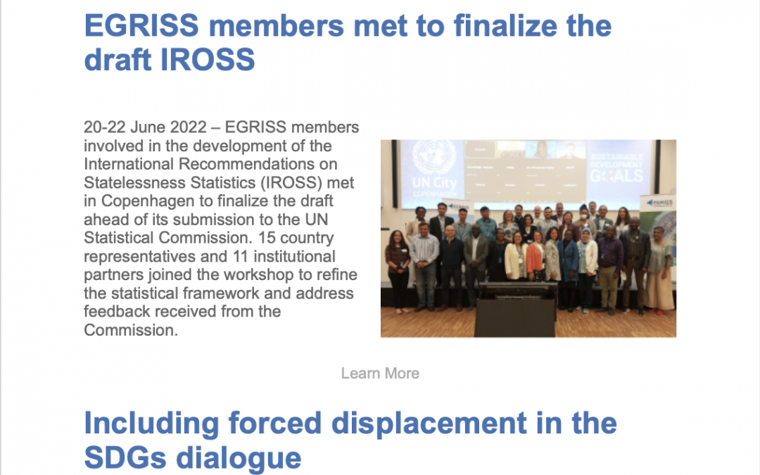EGRISS Newsletter:  Working together to finalize the statelessness recommendations and more