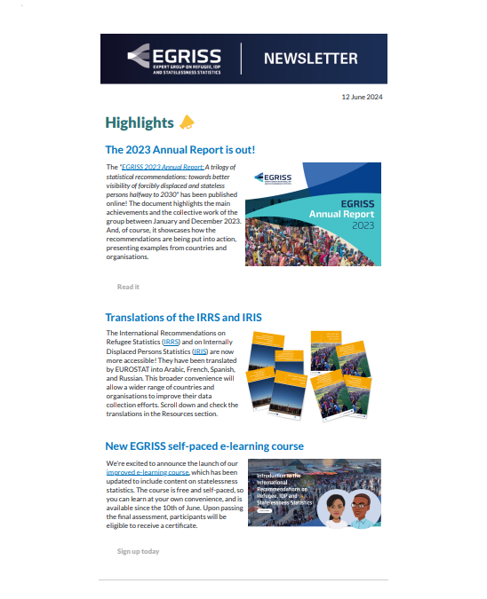 EGRISS Newsletter: IRRS/IRIS translations & Annual Report
