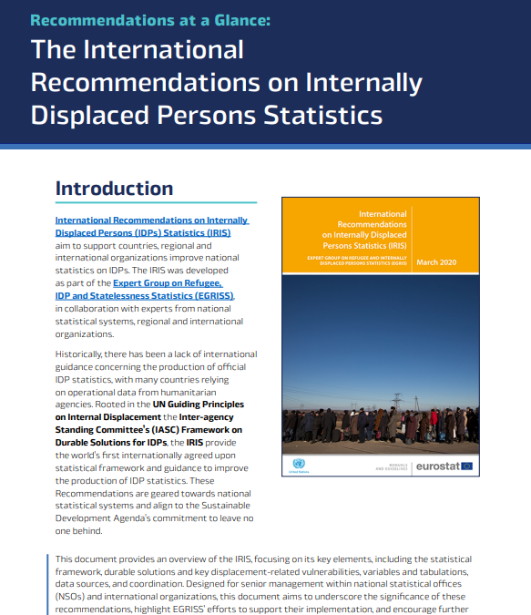 EGRISS – Recommendations at a Glance: The International Recommendations on Internally Displaced Persons Statistics (IRIS)