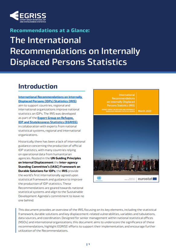 EGRISS – Recommendations at a Glance: The International Recommendations on Internally Displaced Persons Statistics (IRIS)