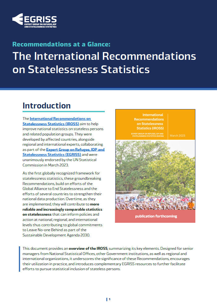 EGRISS – Recommendations at a Glance: The International Recommendations on Statelessness Statistics (IROSS)
