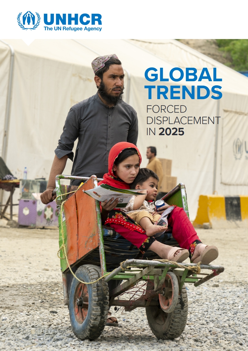 International Recommendations on Refugee Statistics (IRRS) 