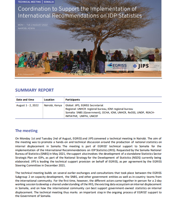 Technical Meeting Report: Coordination to Support the Implementation of the IRIS in Somalia