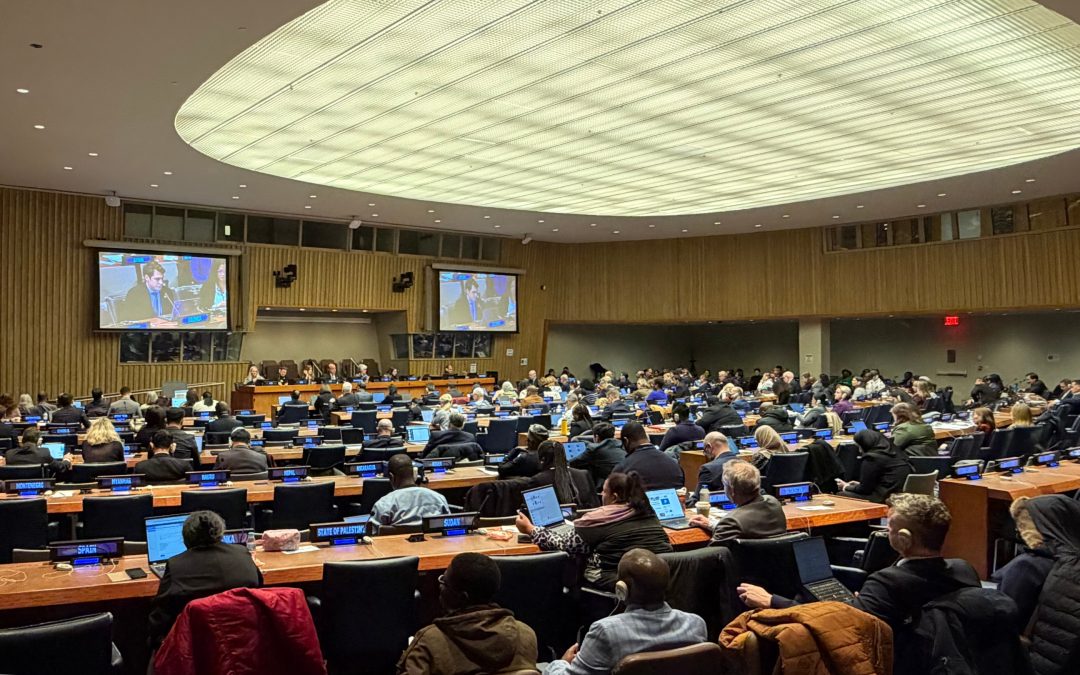 57th United Nations Statistical Commission endorses EGRISS’ new Terms of Reference