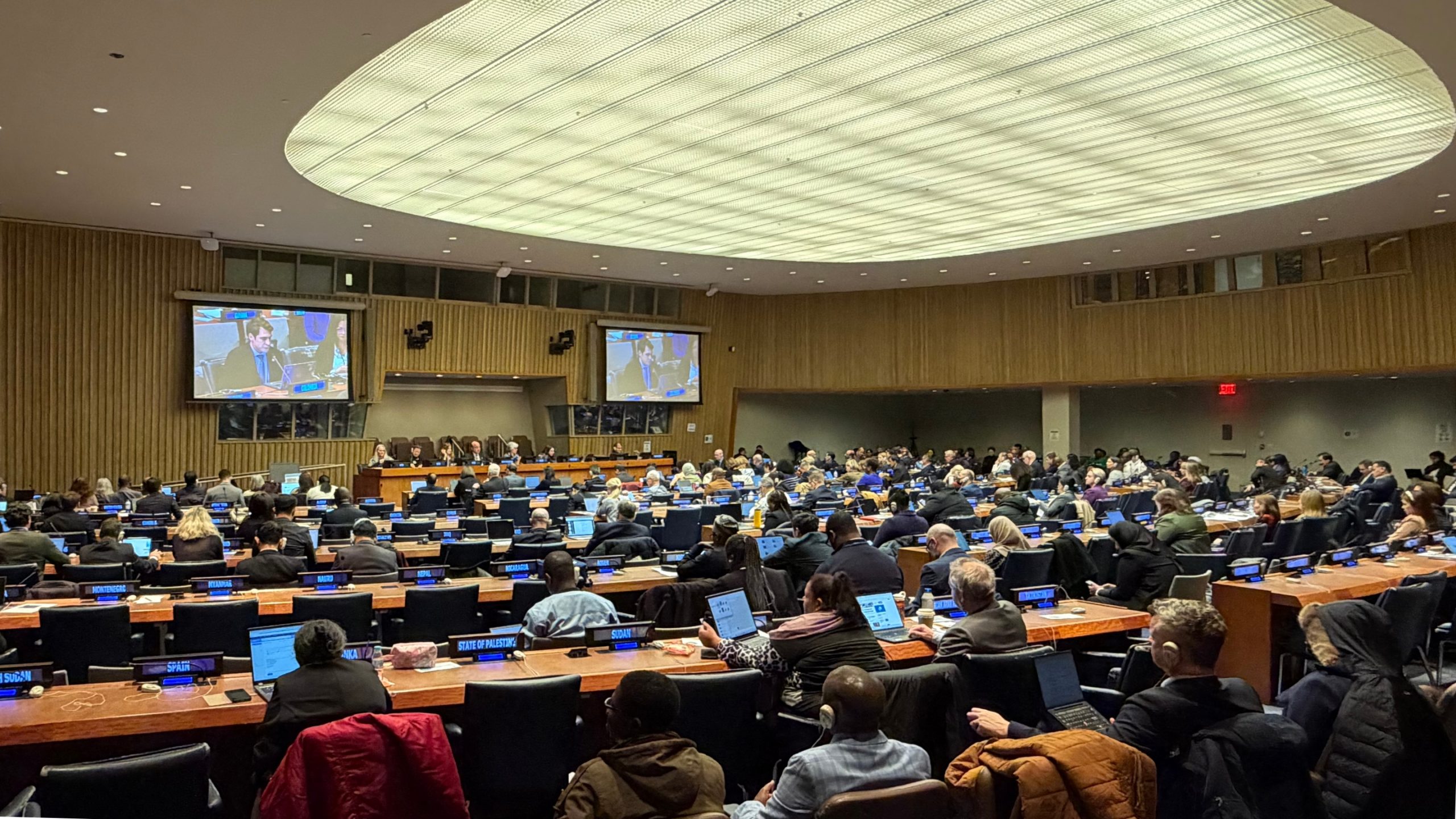 57th United Nations Statistical Commission endorses EGRISS’ new Terms of Reference