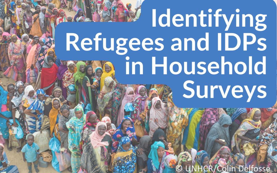ISWGHS Webinar on Identifying Refugees and IDPs in Household Surveys