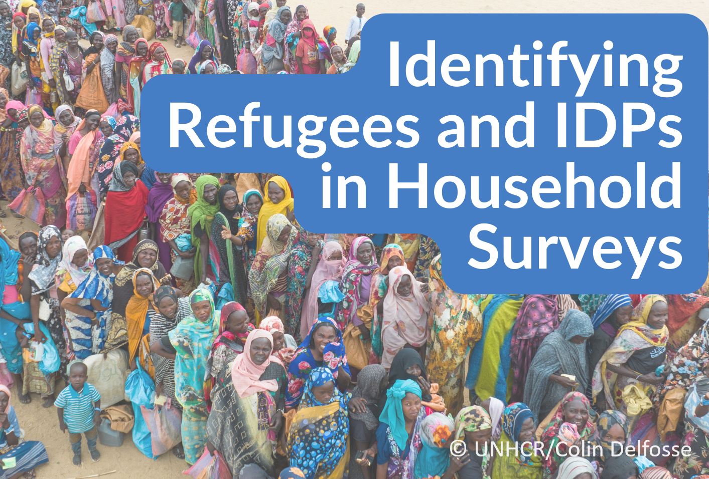 ISWGHS Webinar on Identifying Refugees and IDPs in Household Surveys